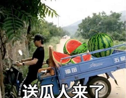 最近大瓜事件,揭秘明星隐私风波背后的真相-第1张图片-国产综合永久精品日韩