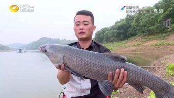 国产精品_青鱼视频,探寻东方美学新境界-第1张图片-国产综合永久精品日韩