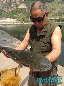 国产精品_青鱼视频,探寻东方美学新境界-第2张图片-国产综合永久精品日韩