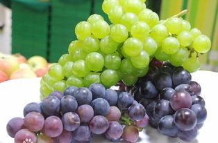 葡萄视频国产毛卡片-第2张图片-日韩成人精品中文字幕