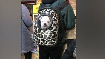 国产衣服爆款视频大全,潮流趋势一网打尽-第1张图片-日韩成人精品中文字幕