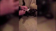 国产挠痒痒视频网站下载-第1张图片-日韩成人精品中文字幕