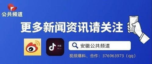 国产网红-k频道网络视频分享,国产网红引领网络视频分享新潮流-第3张图片-日韩成人精品中文字幕