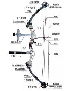 国产复合弓真实测评视频,性能解析与实战体验-第1张图片-日韩成人精品中文字幕